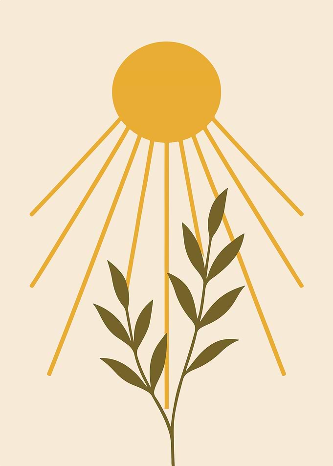 Minimalist Sun and Plant Art