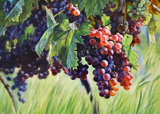 Grapes in Vineyard Painting