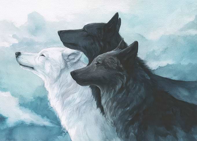 Three Wolves in Harmony