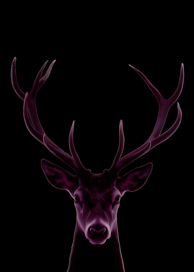 Purple Deer