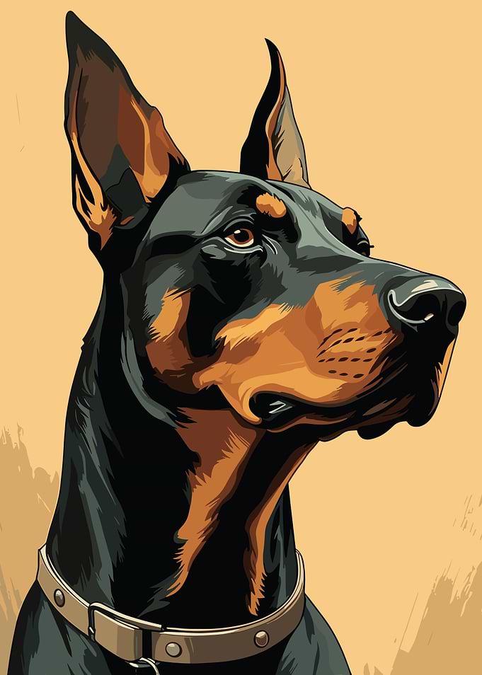Doberman Portrait Illustration