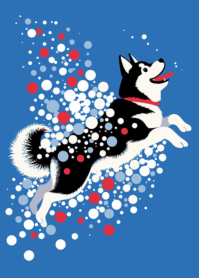 Happy Husky in Motion