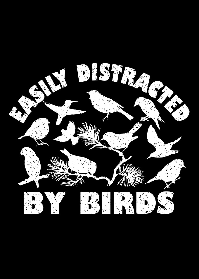 Easily Distracted by Birds