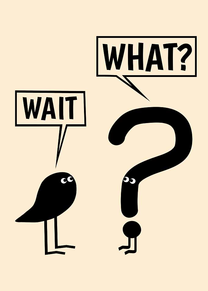 Wait What? Funny Grammar Minimalist Art