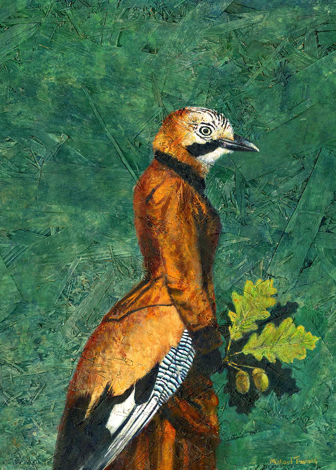 Lady Jay