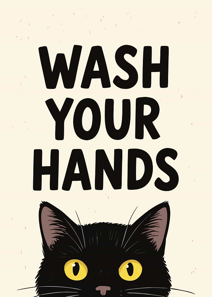 Wash Your Hands Cat Poster