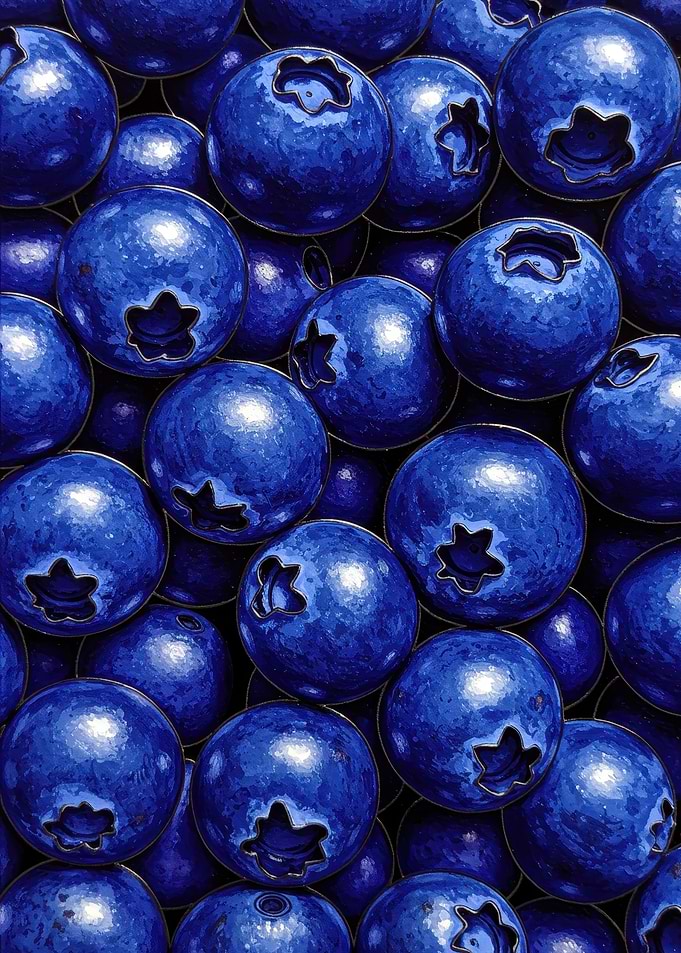Blueberry Pile