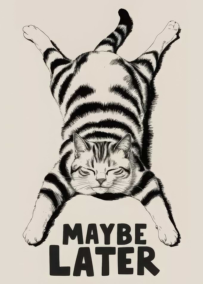 Maybe Later Funny Cat