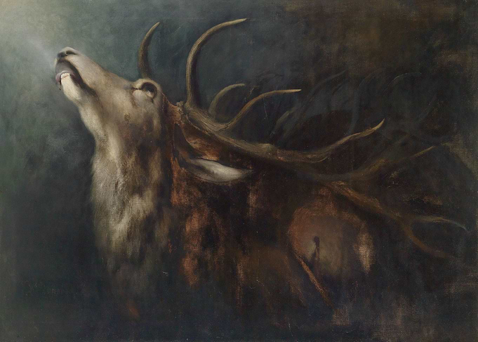 Sterbender Hirsch Dying Deer