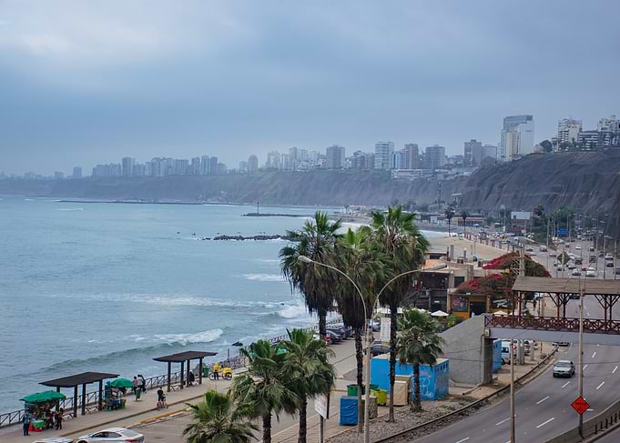 Coastal Cityscape with Palm Trees