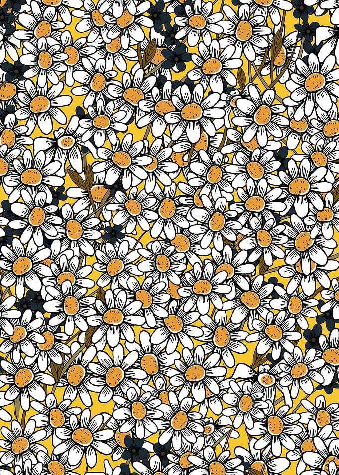 Daisy Floral Pattern on Yellow Background