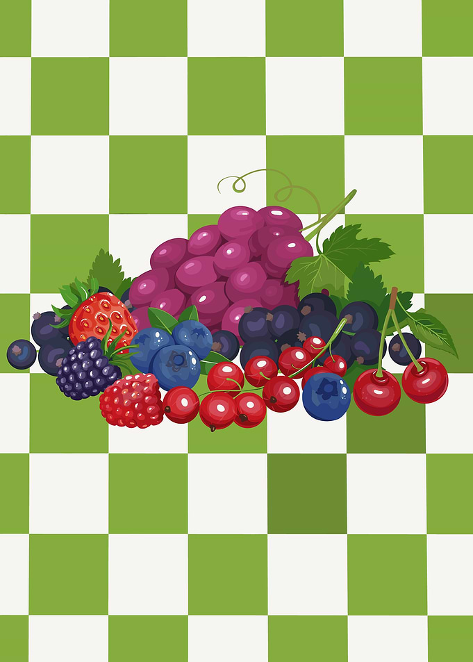 Assorted Berries and Grapes Illustration