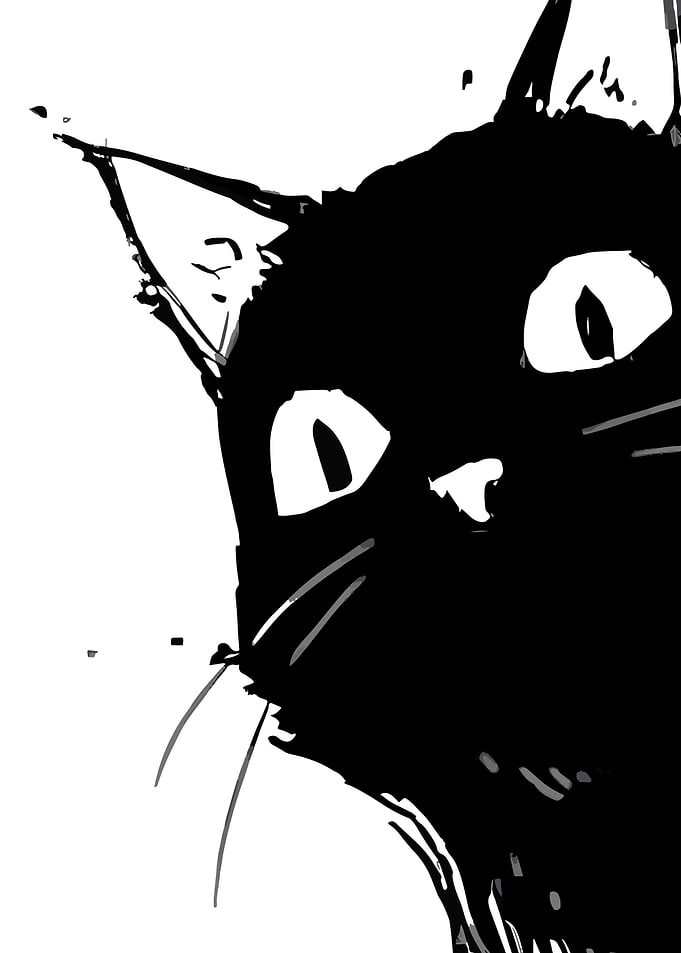 Black Cat Peek