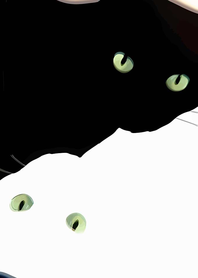 Black and White Cats with Green Eyes