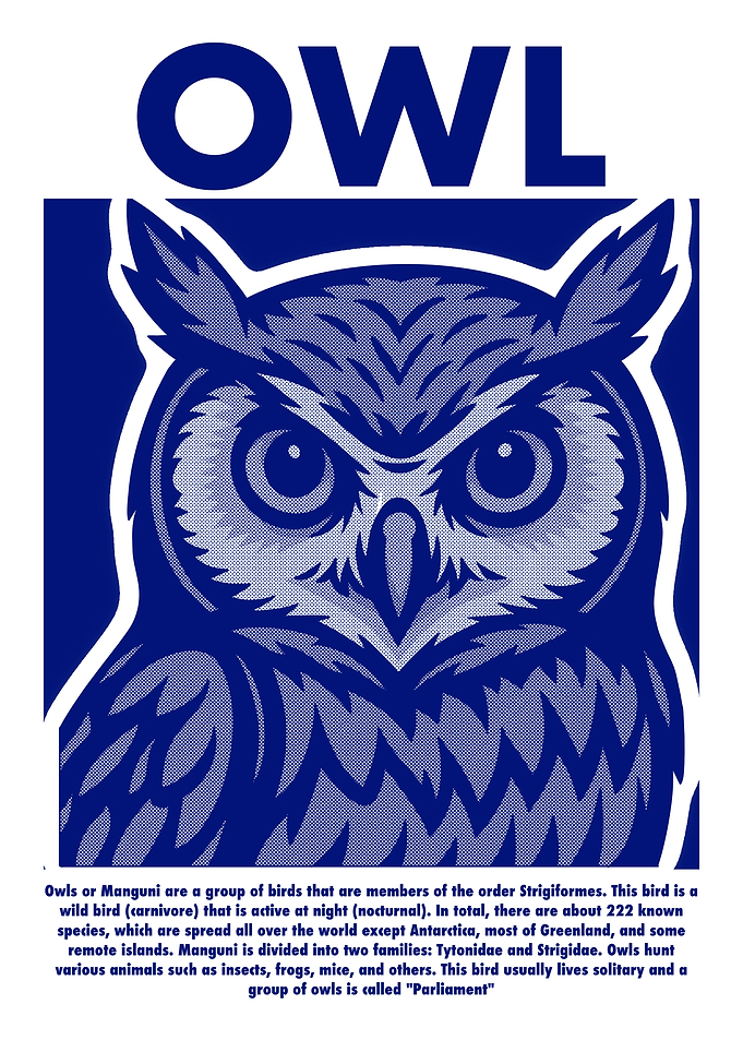 Blue Owl Illustration