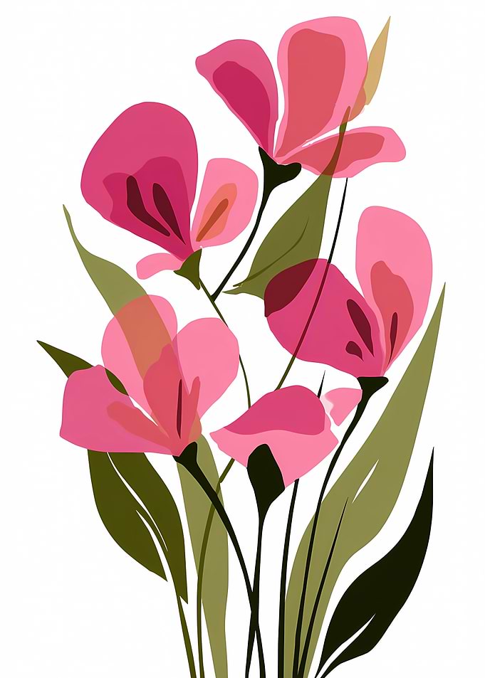 Pink Floral Illustration on White Background