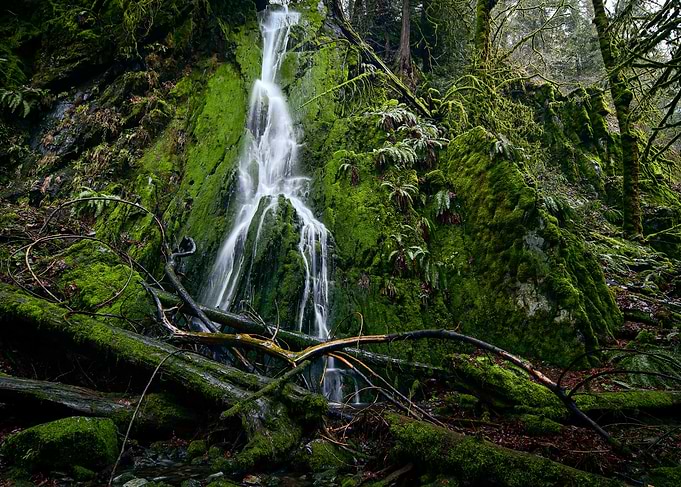 Mossy Waterfall in Lush Forest