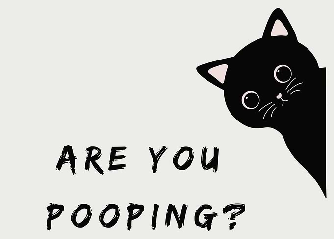 Are you pooping? Black cat art