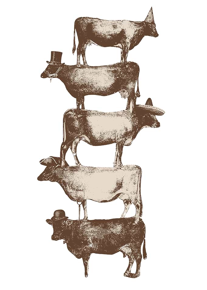 Tower of Cows with Hats