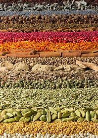 Spices and Herbs Arrangement
