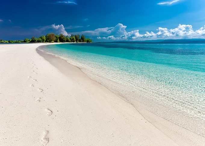 Tropical Beach Paradise with Clear Water