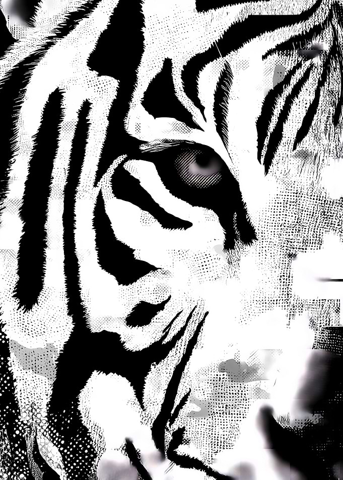 Monochrome Tiger Portrait