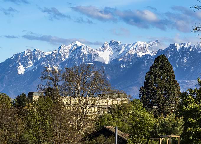 Snowy Alps Mountains and Green Trees