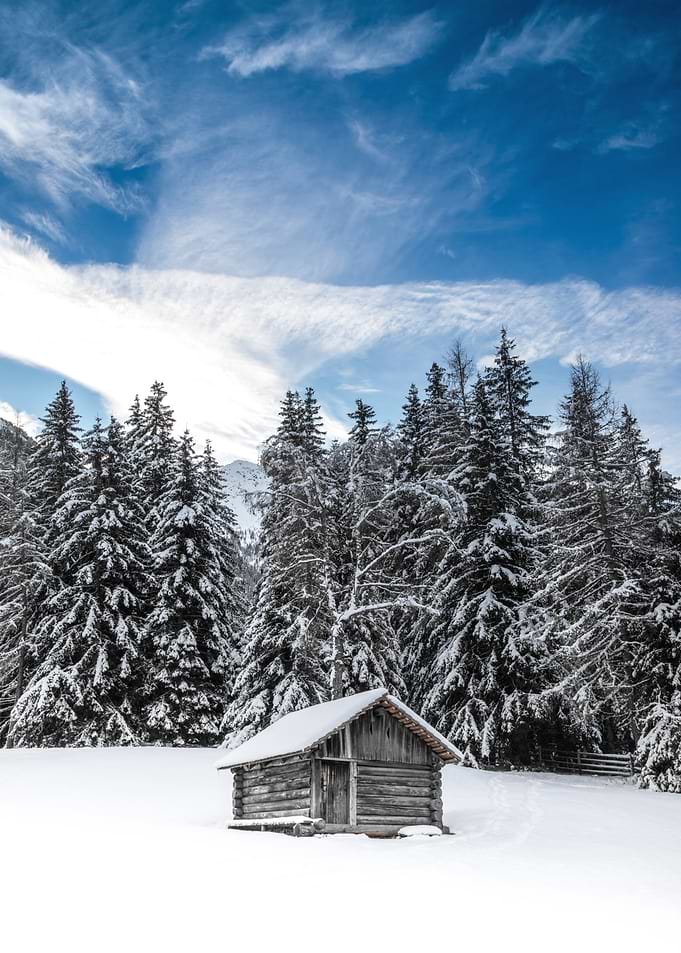 Winter Cabin in Snowy Forest