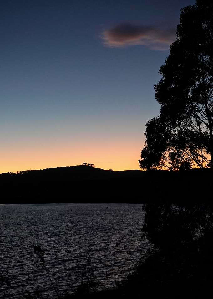 Sunset over water with silhouetted trees