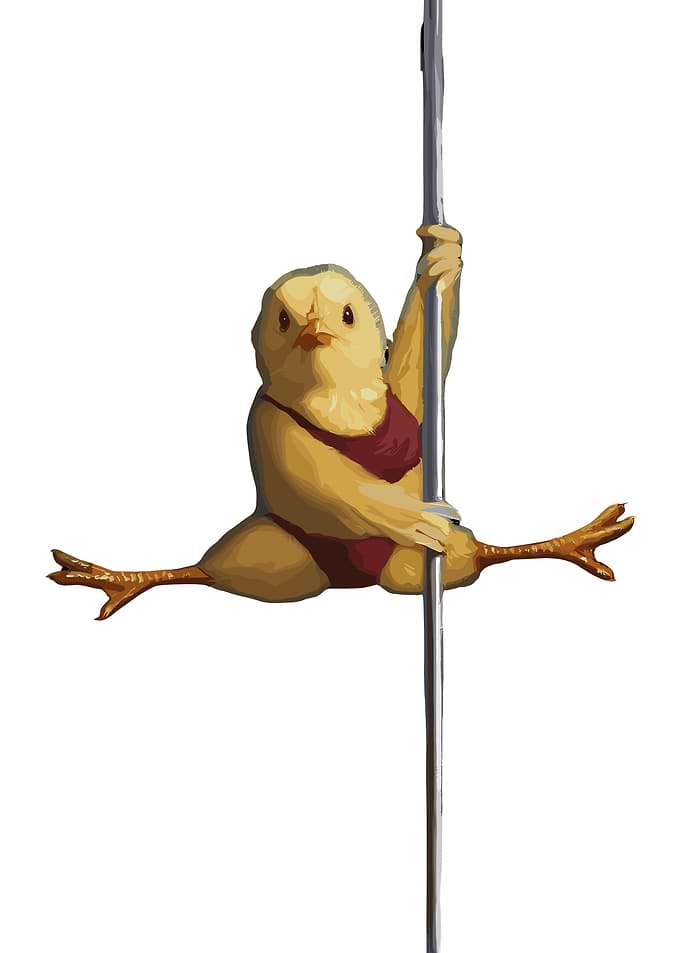 Chicken doing pole dance