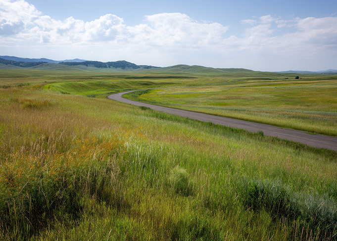 Winding Road Through Green Field