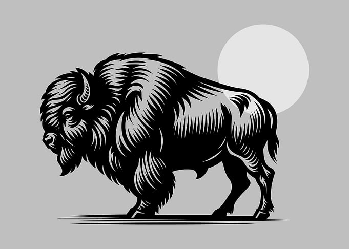Monochrome Bison Illustration