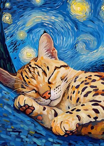 Sleeping Cat Starry Night Painting