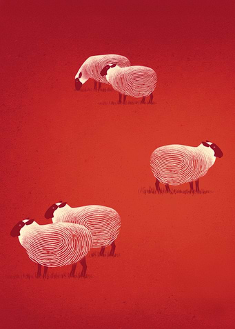 Sheep Fingerprint Red Field