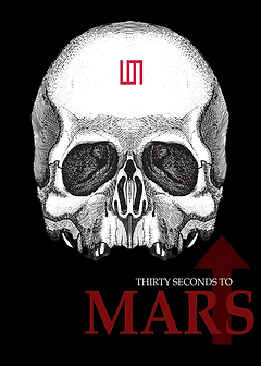 Thirty Seconds to Mars Album Art