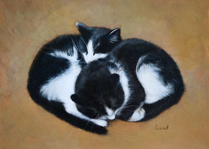 Sleeping Black and White Kittens Painting
