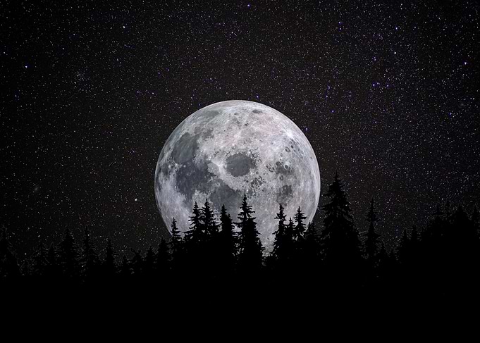 Full Moon Over Forest Silhouette