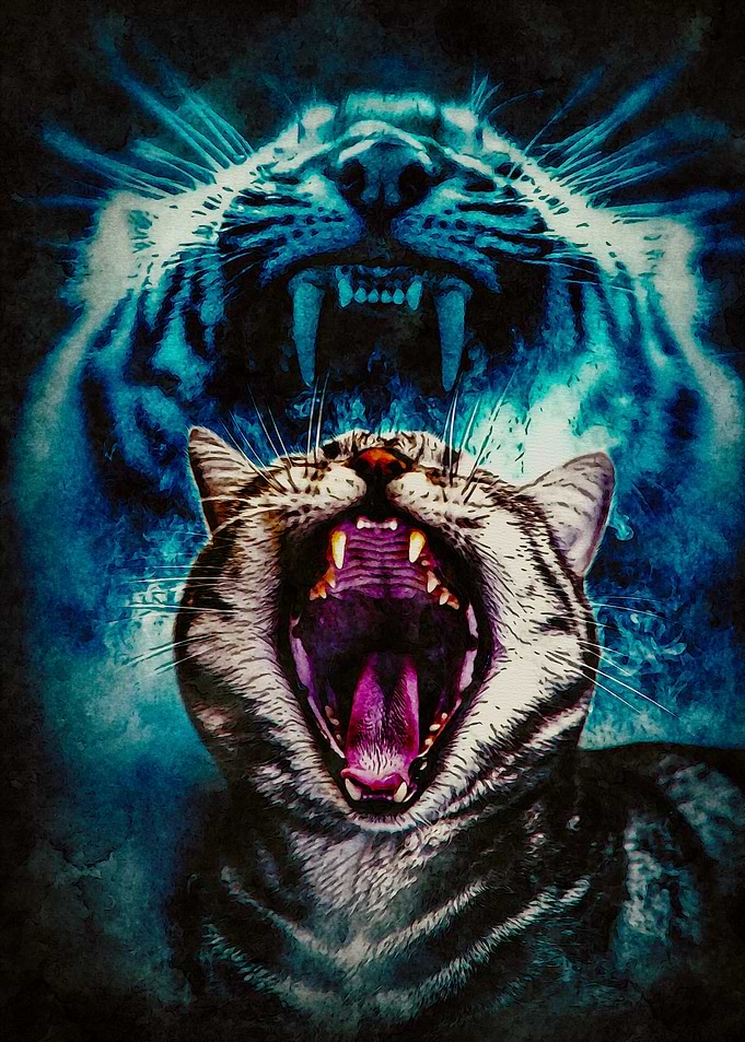 Roaring Cat and Tiger Overlay