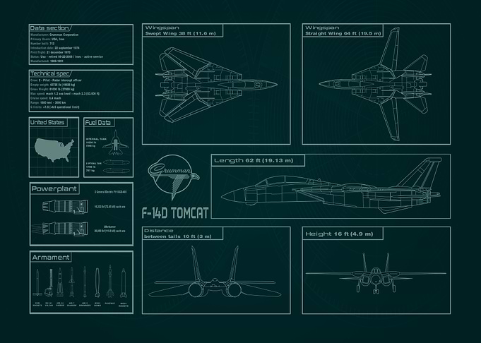 F-14D Tomcat