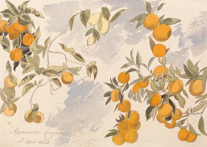 Vintage Fruit Tree Watercolor Painting