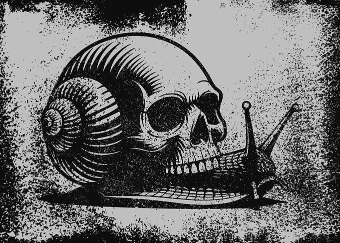 Skull Snail Illustration