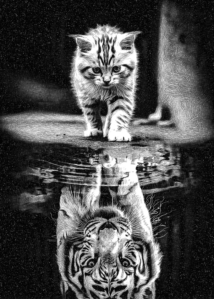 Kitten and Tiger Reflection