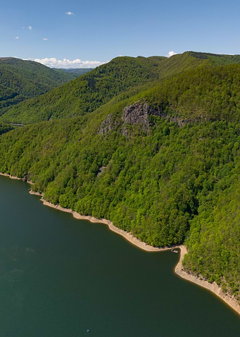 Lake and Forest Landscape