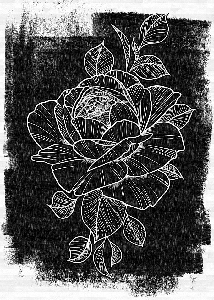 Rose Line Art on Black Background
