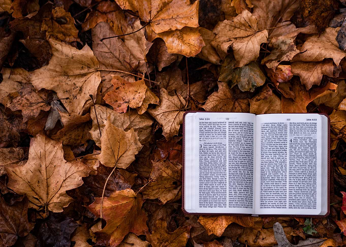 Open book on Autumn Leaves