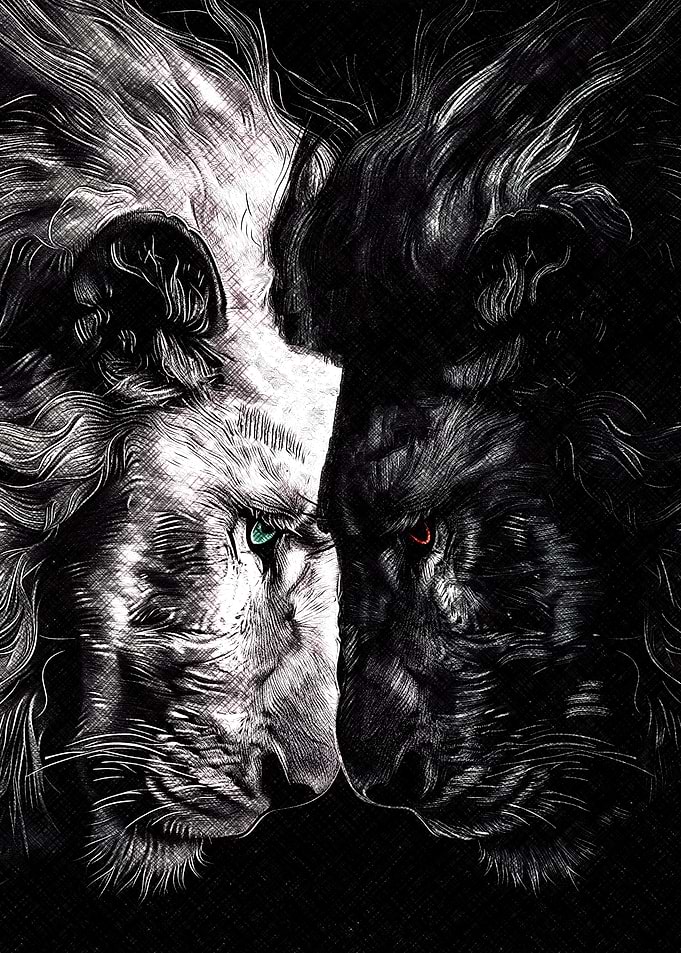 Lion Duality: Light and Shadow