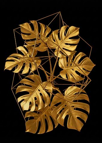 Golden Monstera Leaves with Geometric Frame