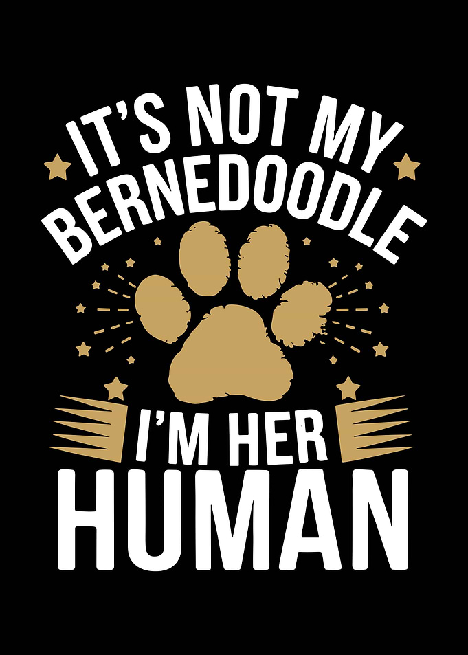 Bernedoodle Dog Owner