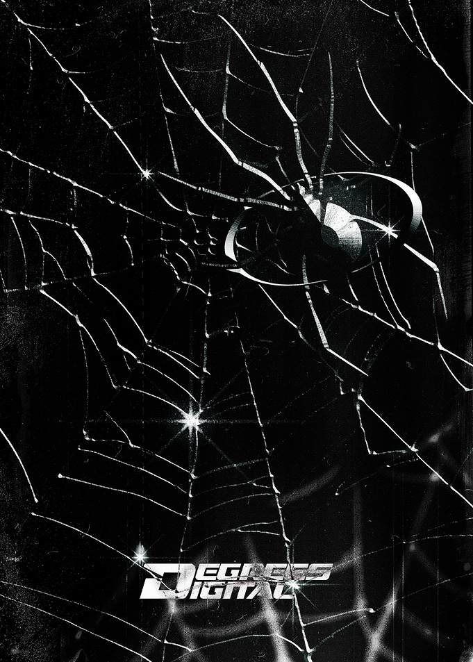 Spider in Web - Black and White