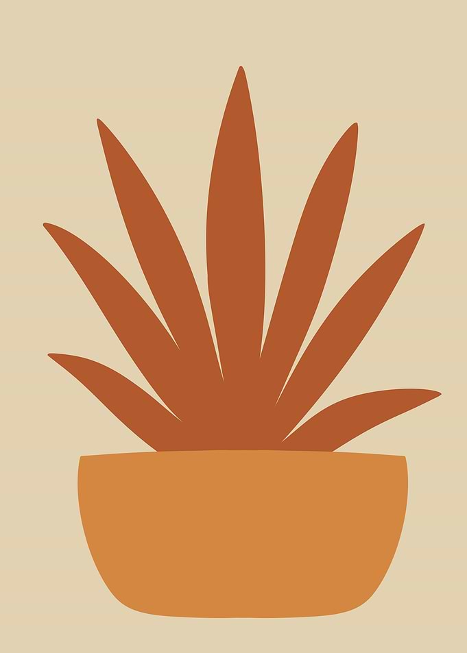Minimalist Potted Plant Illustration